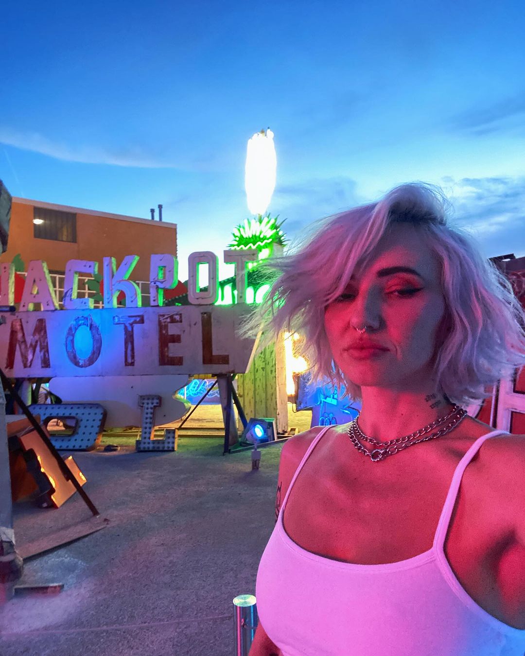 Image 4411528 from Lights Poxleitner