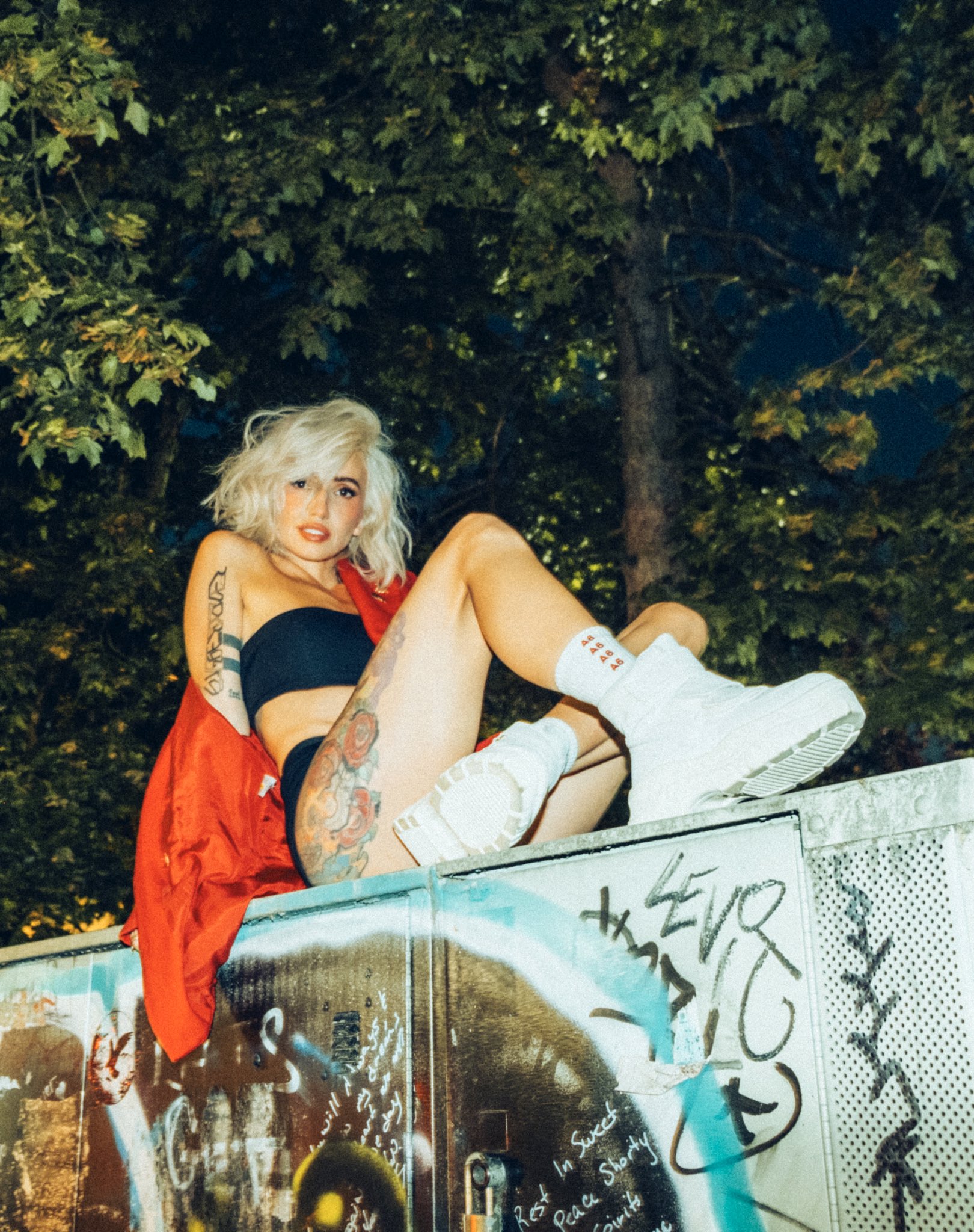 Image 4411858 from Lights Poxleitner