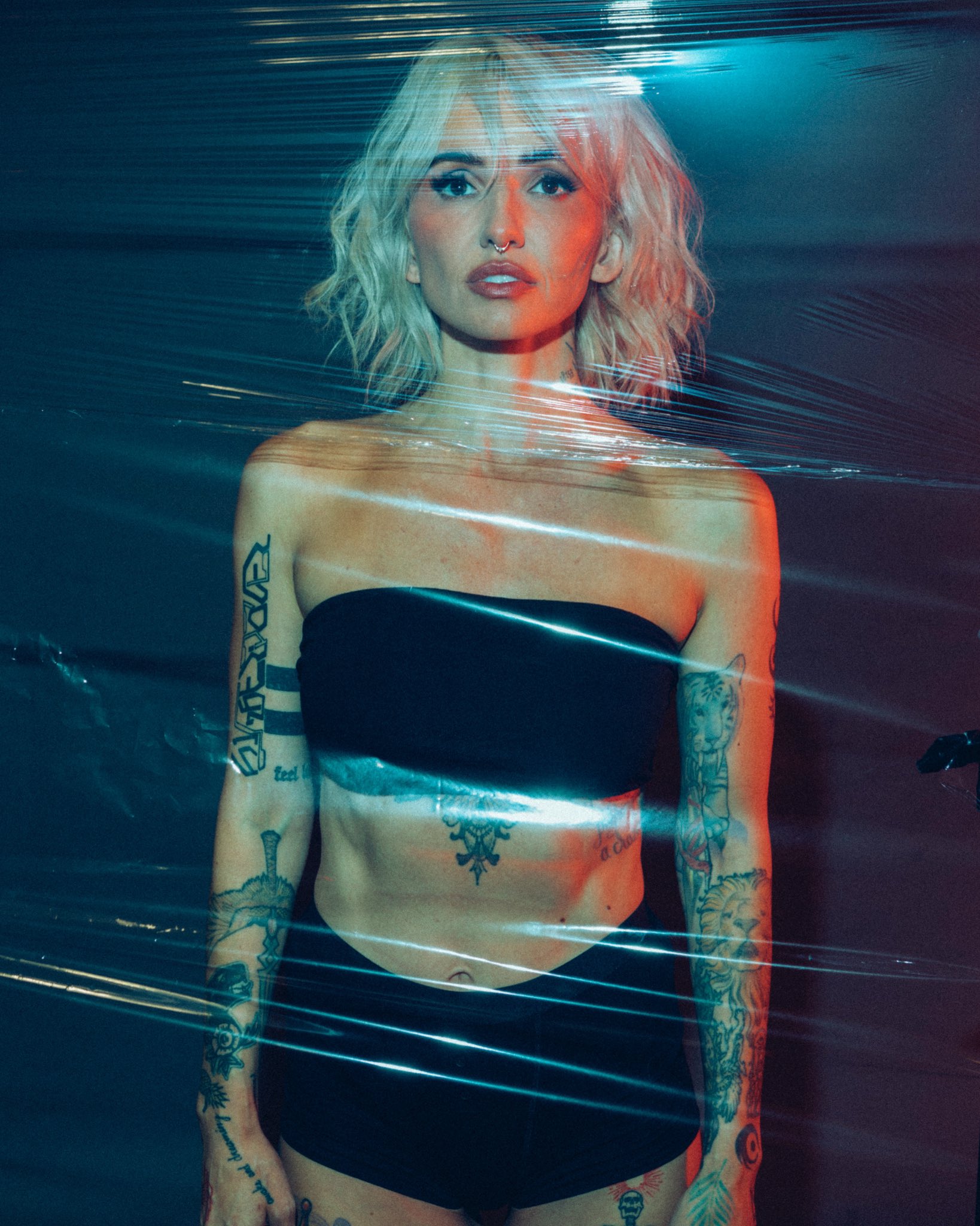 Image 4411883 from Lights Poxleitner