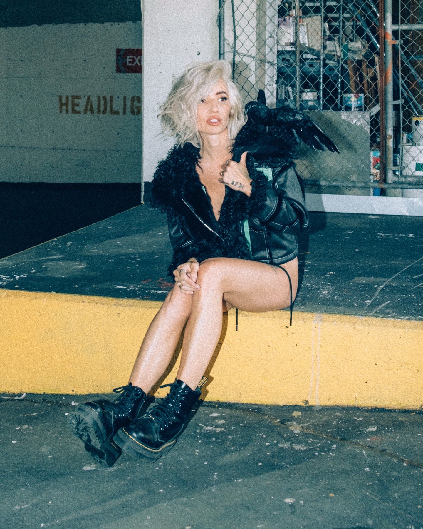 Image 4412335 from Lights Poxleitner
