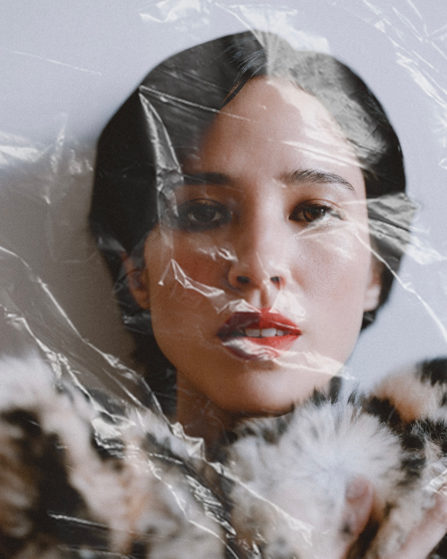 Image 4443631 from Kelsey Asbille