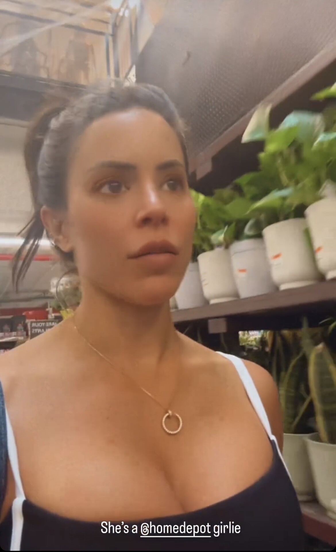 Image 4444532 from Charly Arnolt (Charly Caruso)