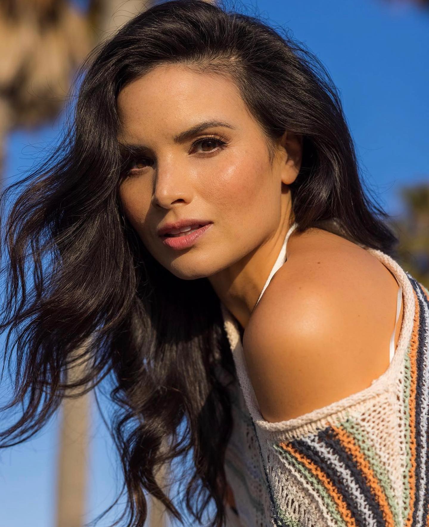 Image 4453367 from Katrina Law