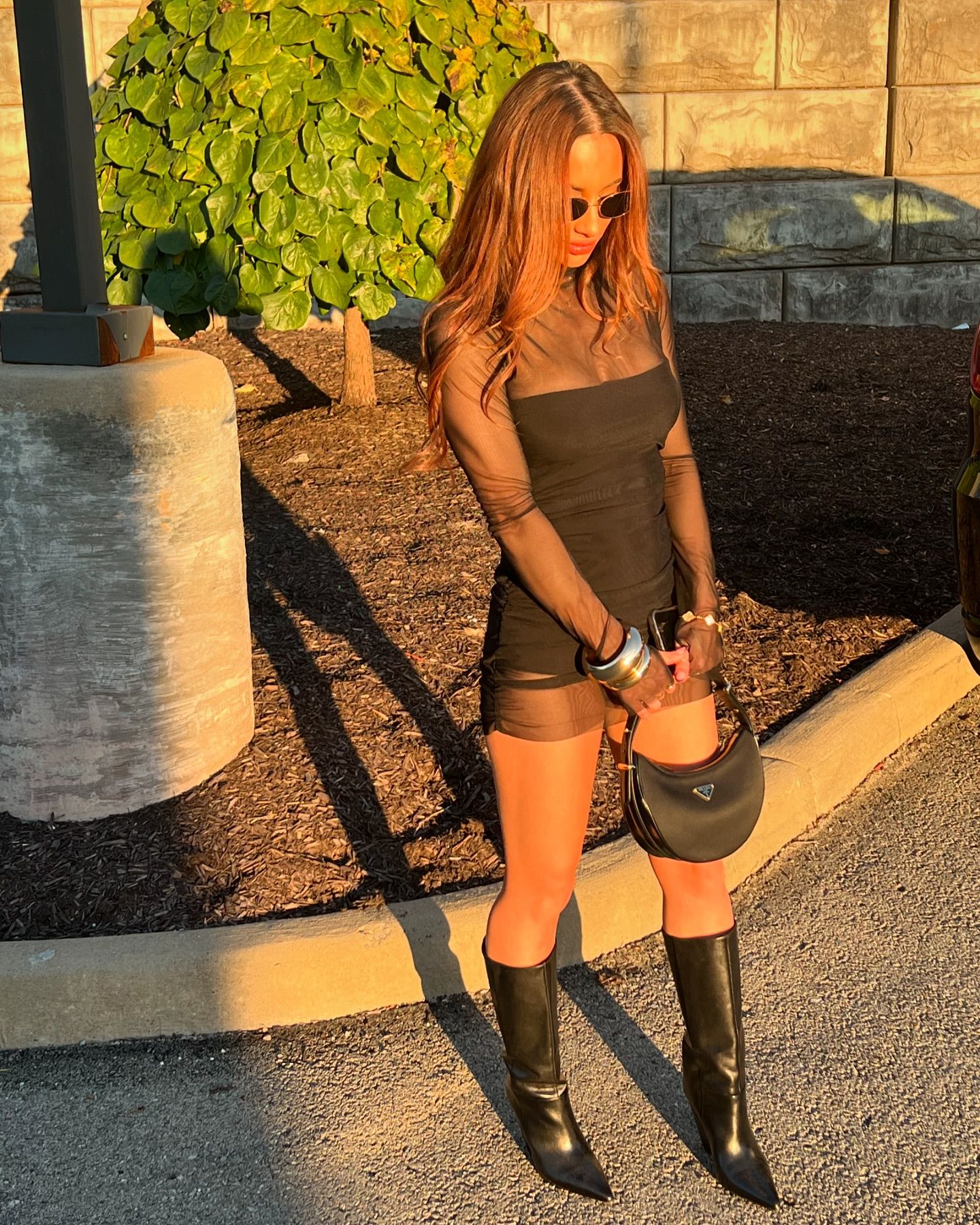 Image 4592036 from WWE Carmella