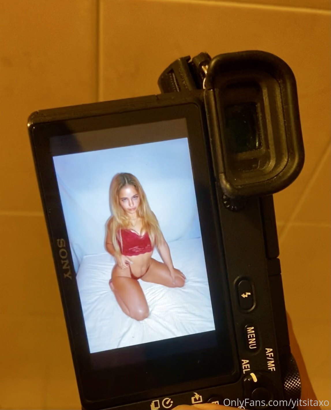 Image 4691717 from yitsitaxo