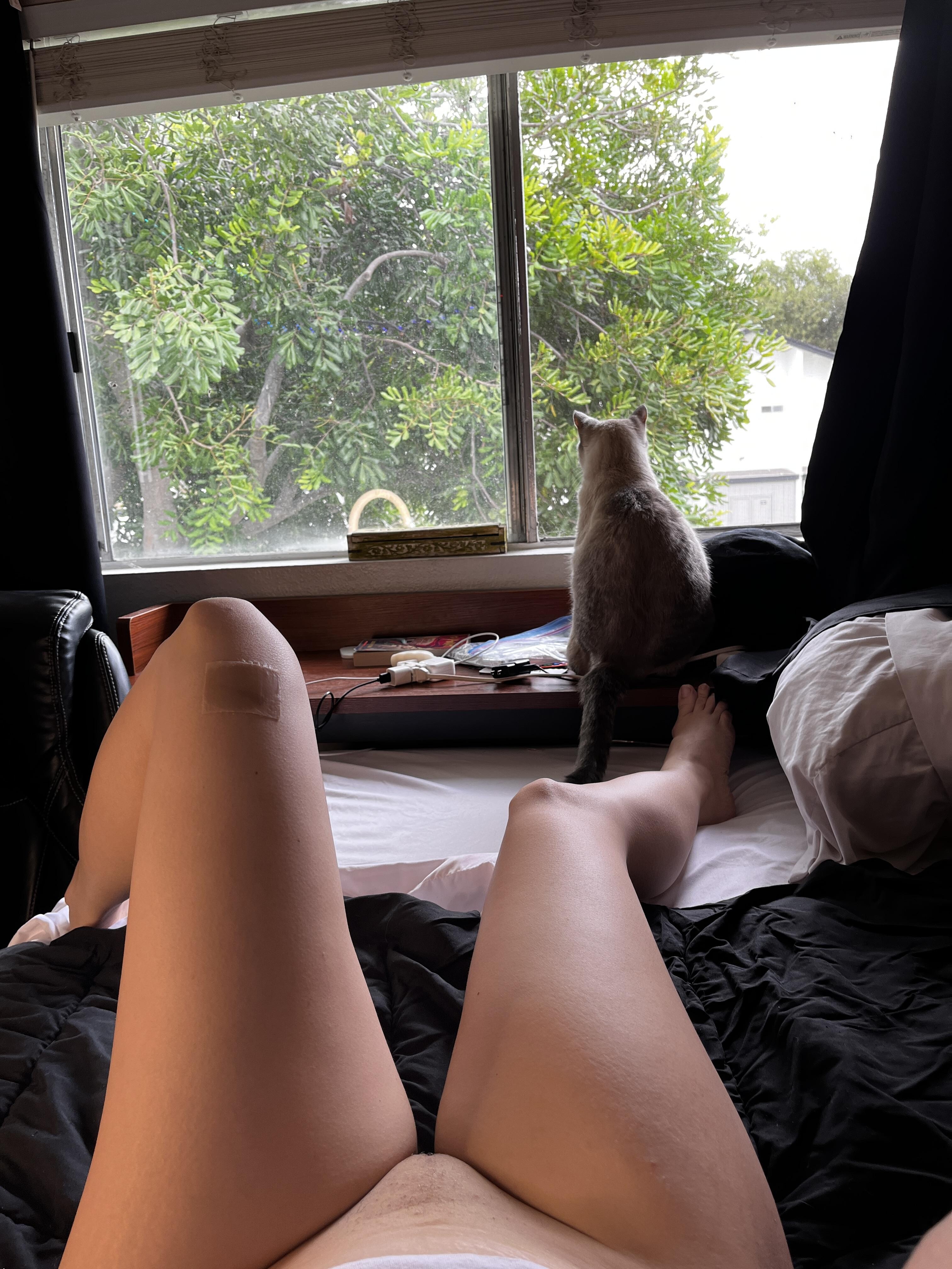 Image 4724701 from xxbabydevilxx