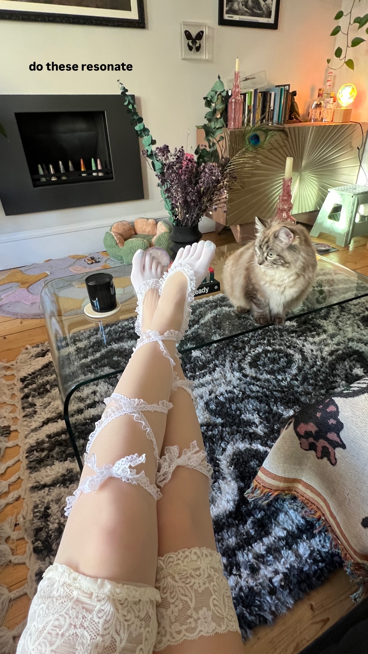 Image 4803291 from Savannah Brown | savbrown