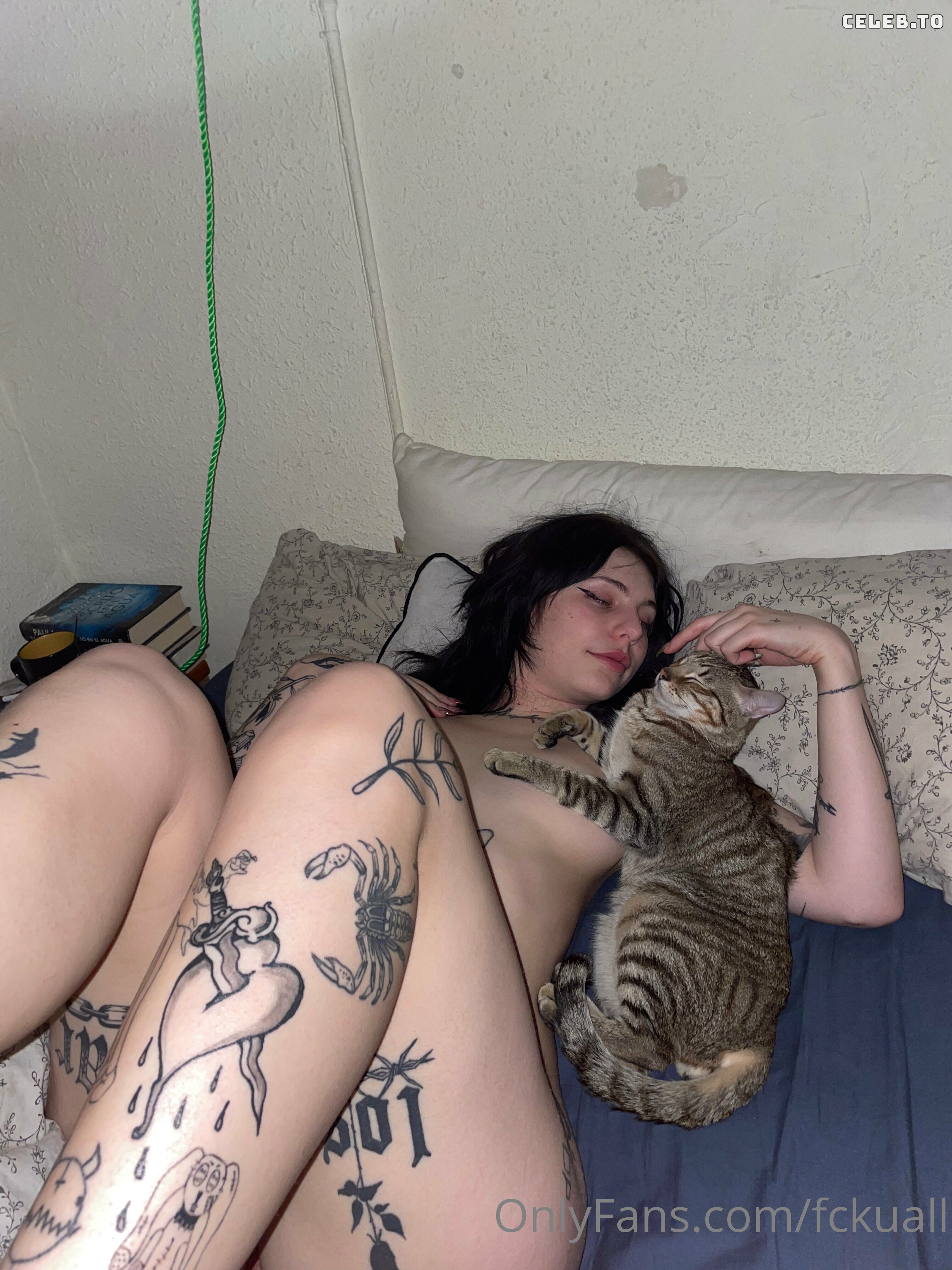 Image 481435 from fckuall