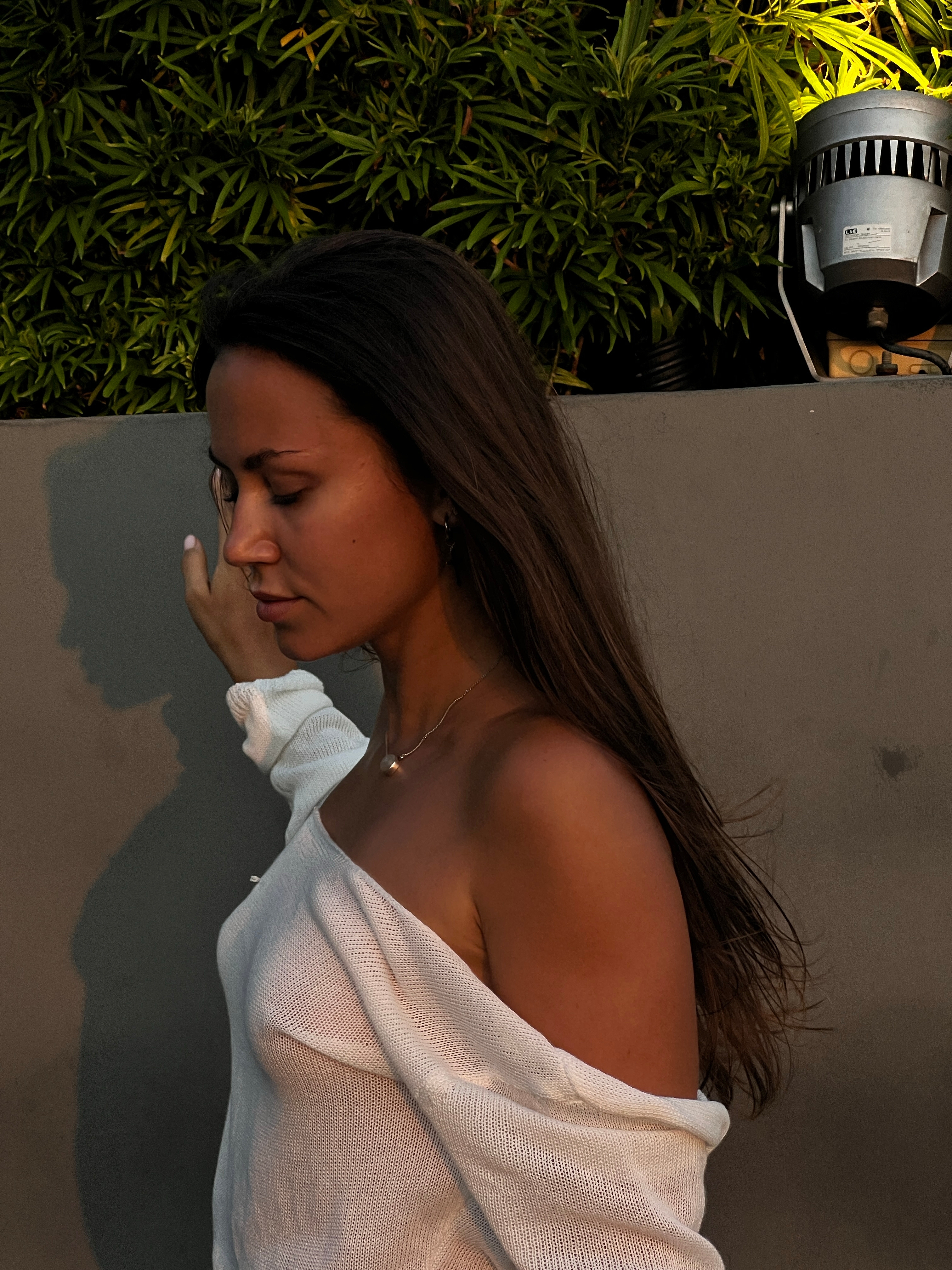 Image 4827597 from Carrie Rose