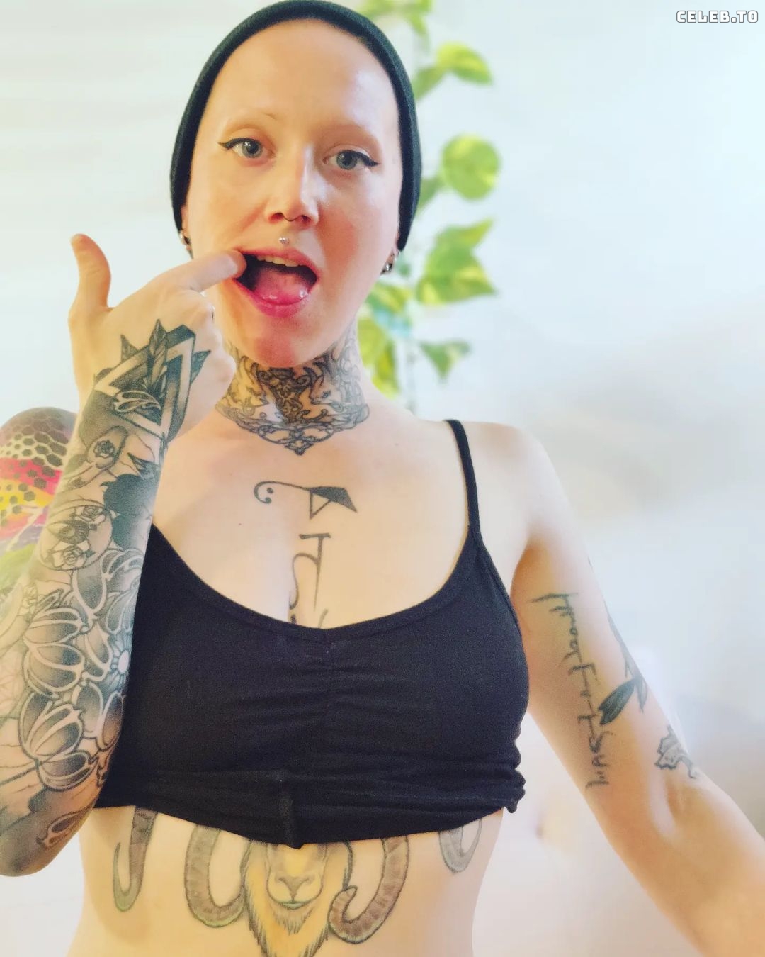 Image 487399 from Mary Moon