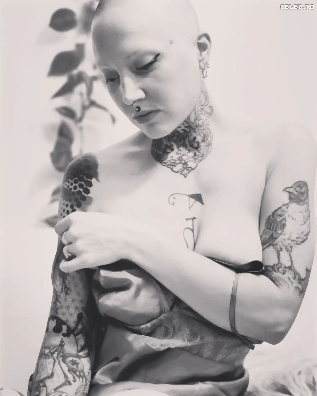 Image 487472 from Mary Moon