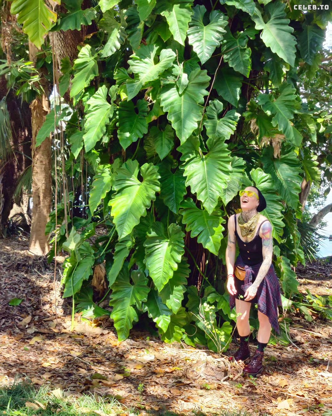 Image 487525 from Mary Moon