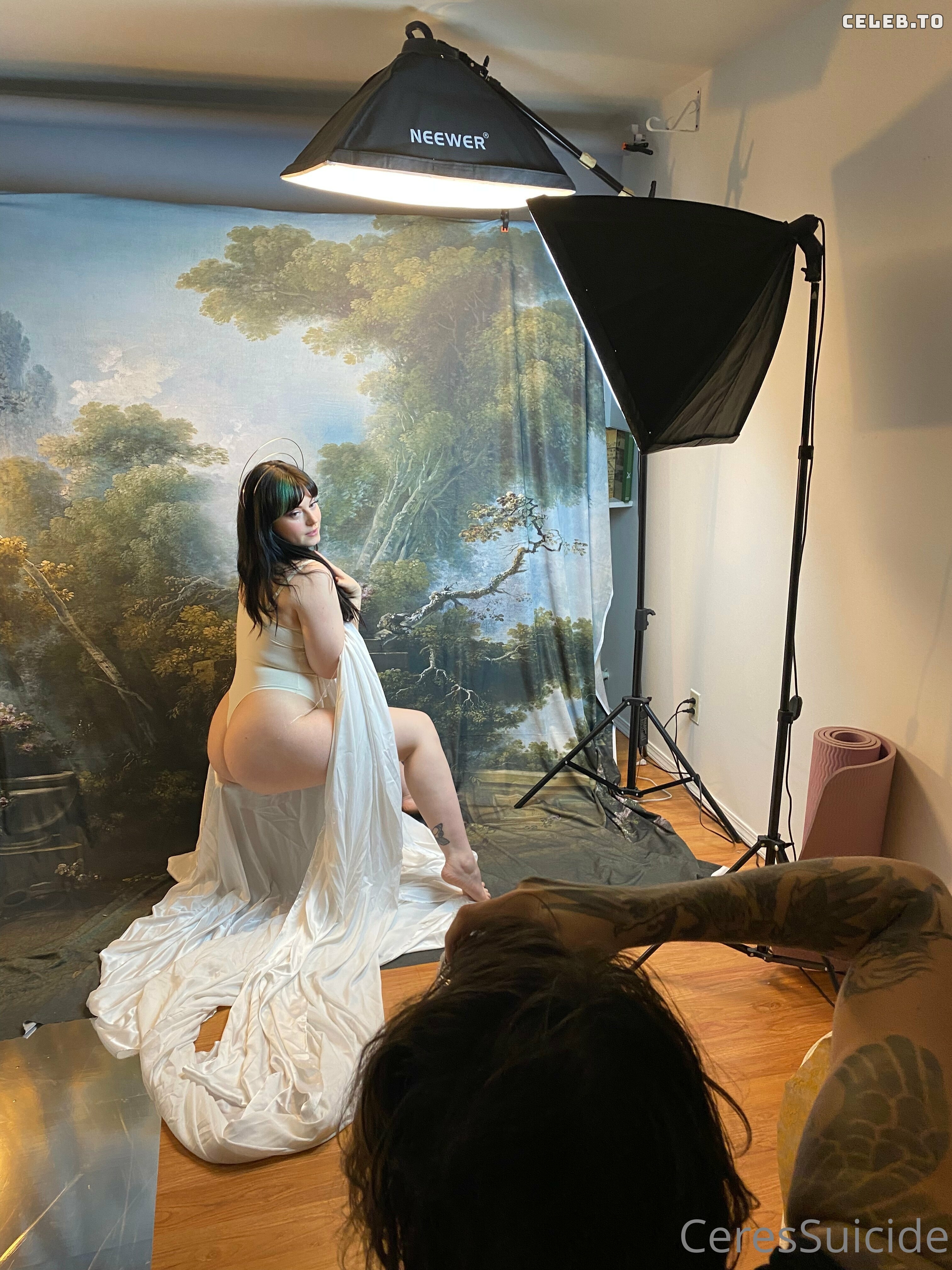 Image 5153696 from Ceres Suicide