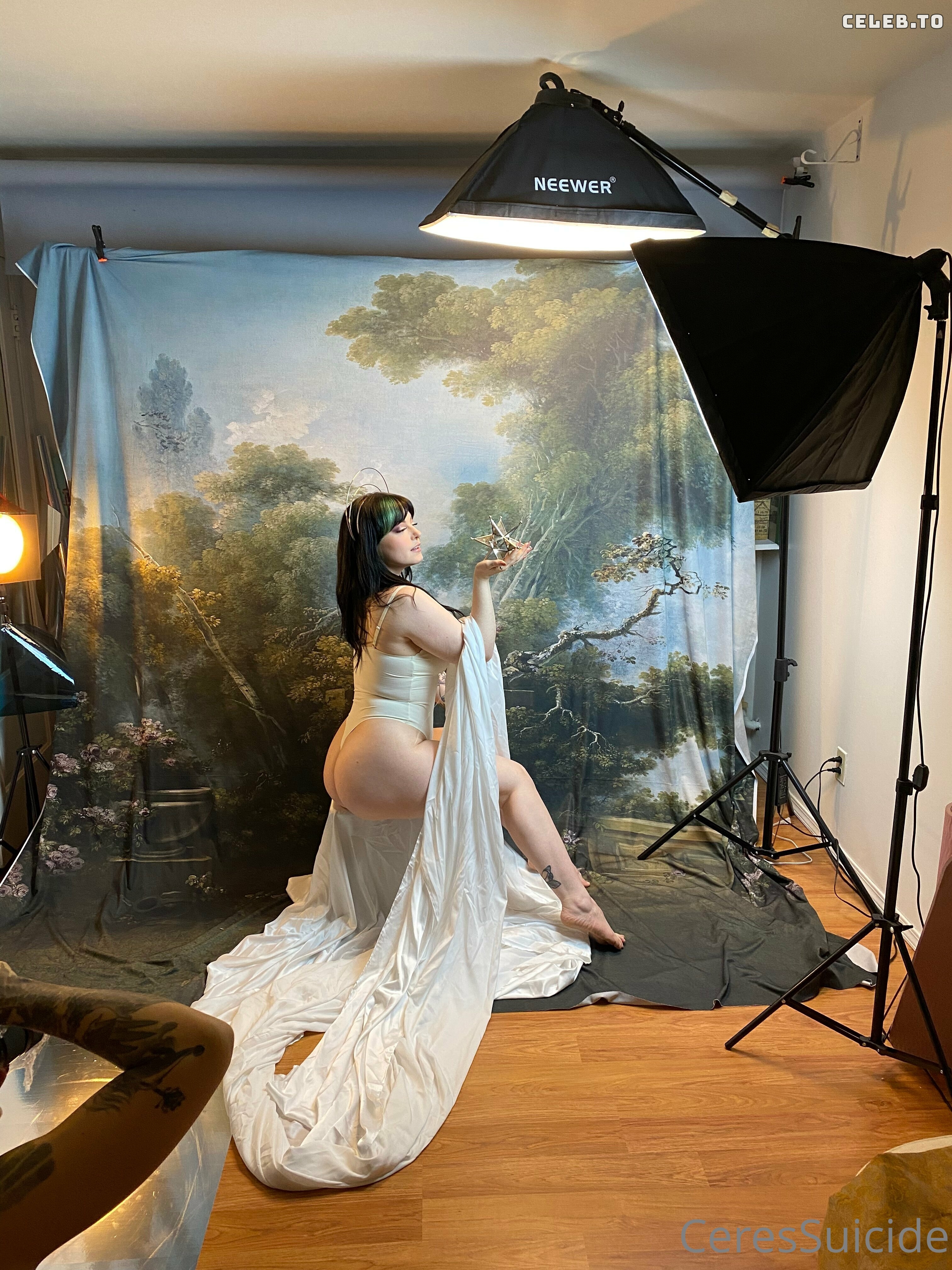 Image 5153713 from Ceres Suicide