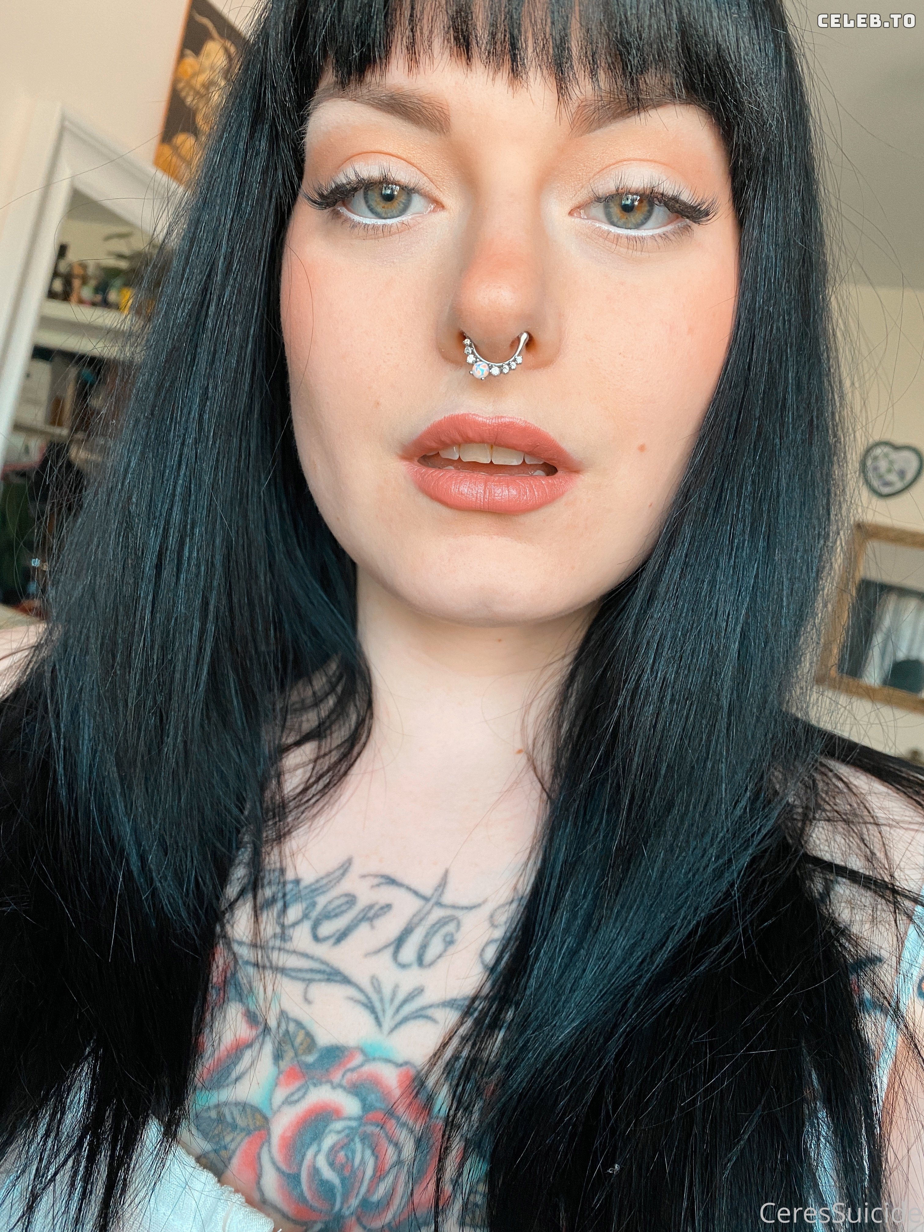 Image 5154158 from Ceres Suicide