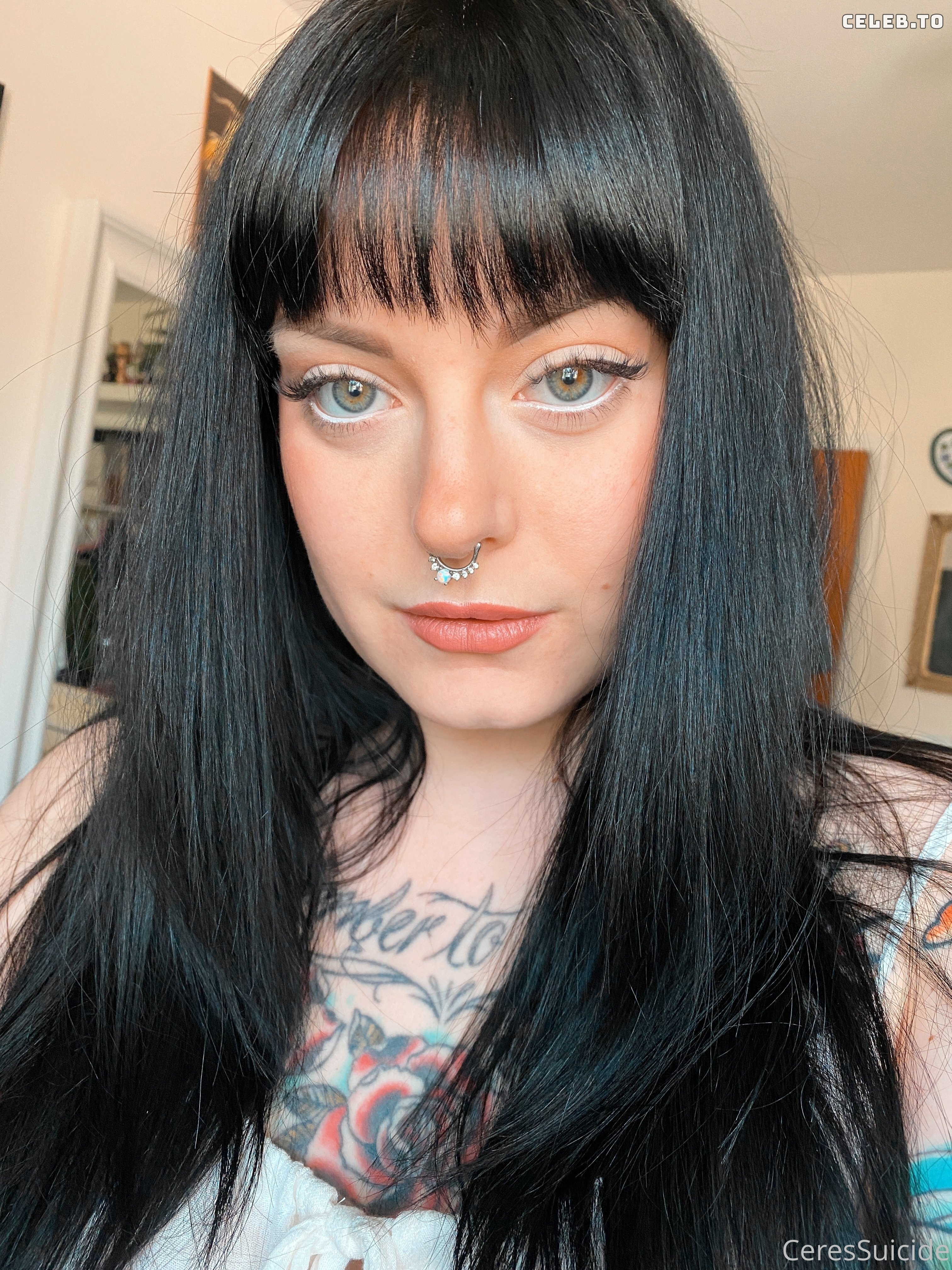 Image 5154177 from Ceres Suicide