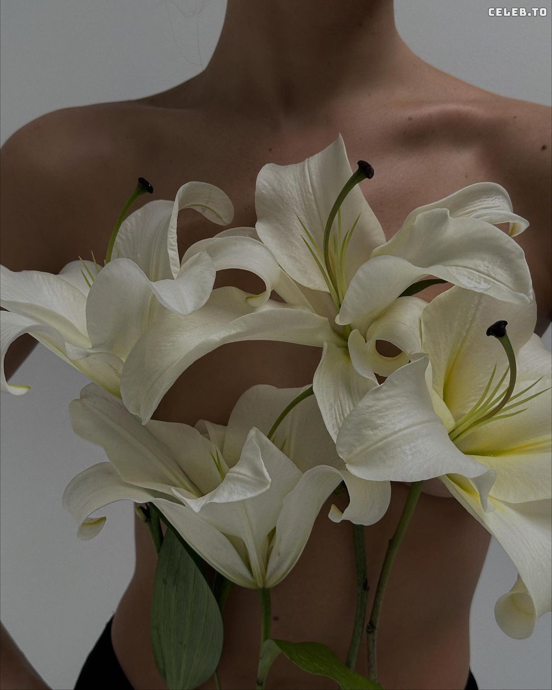 Image 5183467 from Carmella Rose