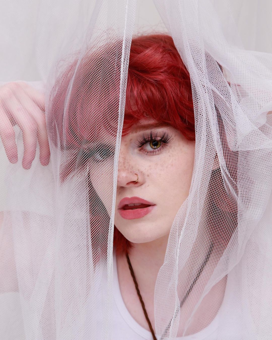 Image 5273845 from Hannah Mccloud