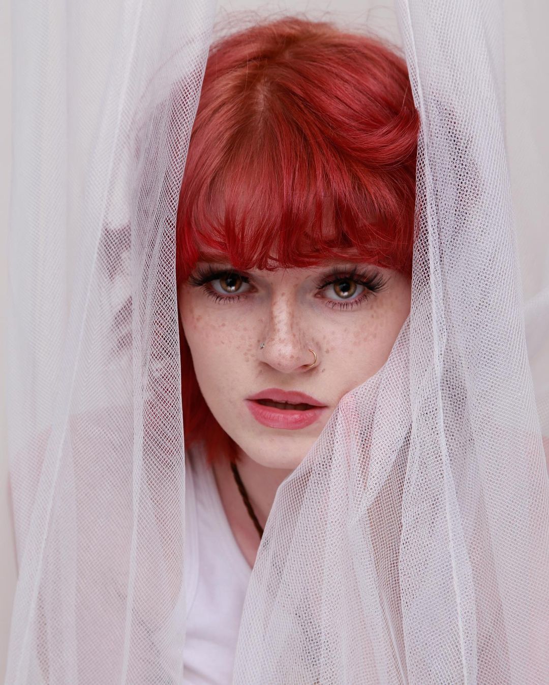 Image 5273909 from Hannah Mccloud