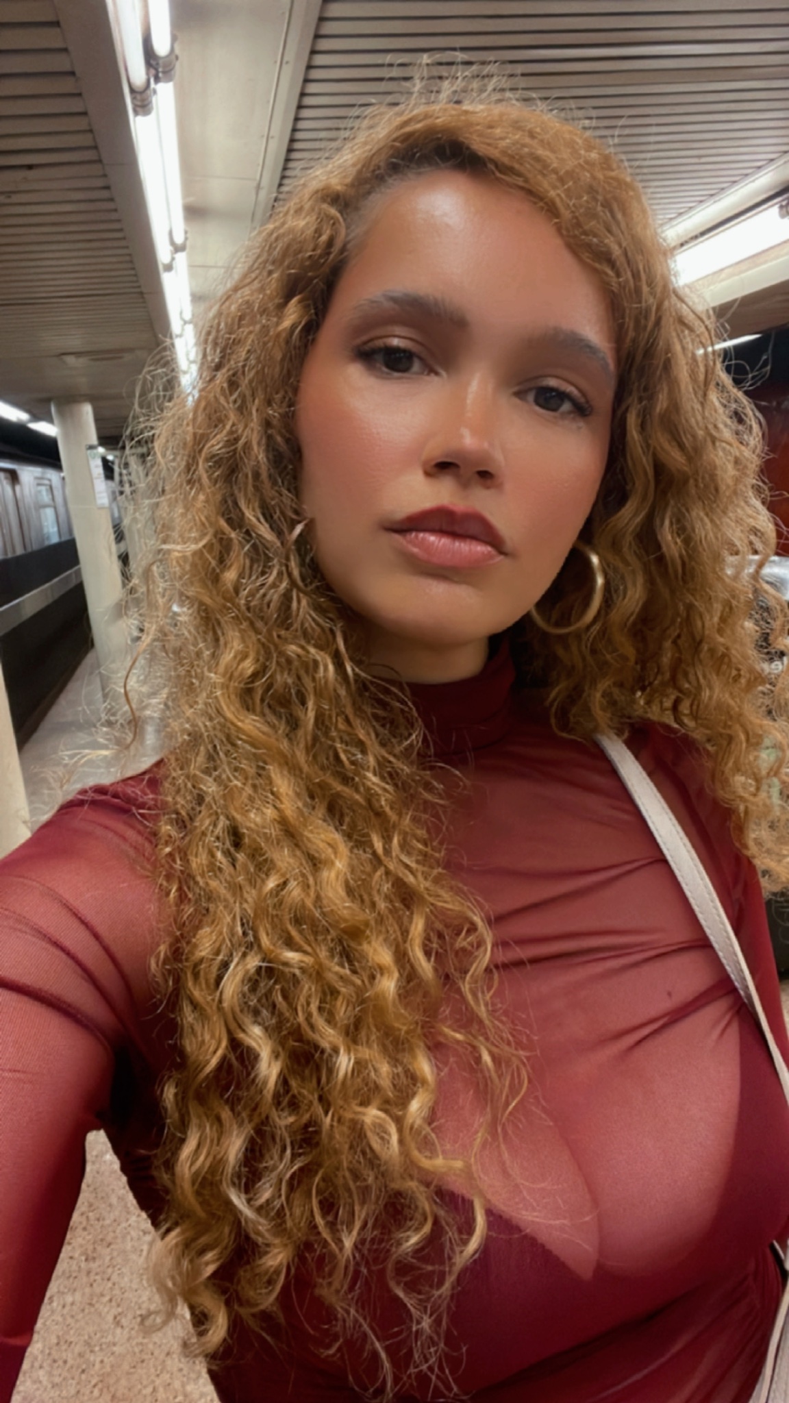 Image 5312597 from Alexis Belon
