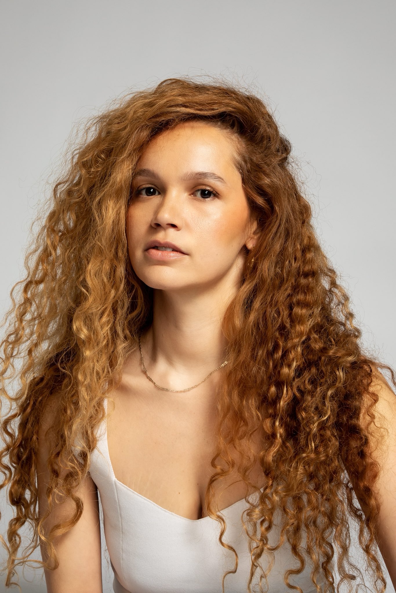 Image 5312731 from Alexis Belon