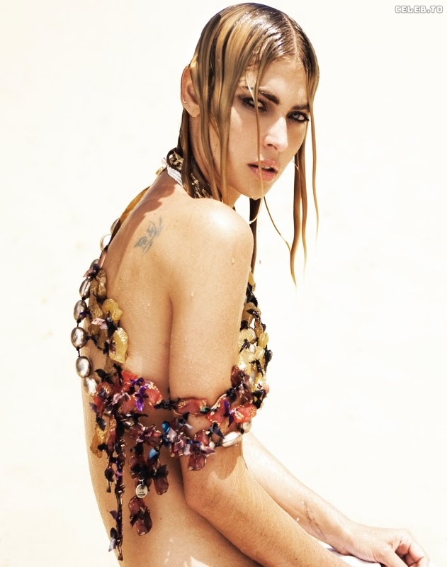 Image 550872 from Lisa Seiffert