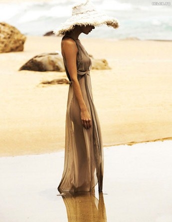 Image 550942 from Lisa Seiffert