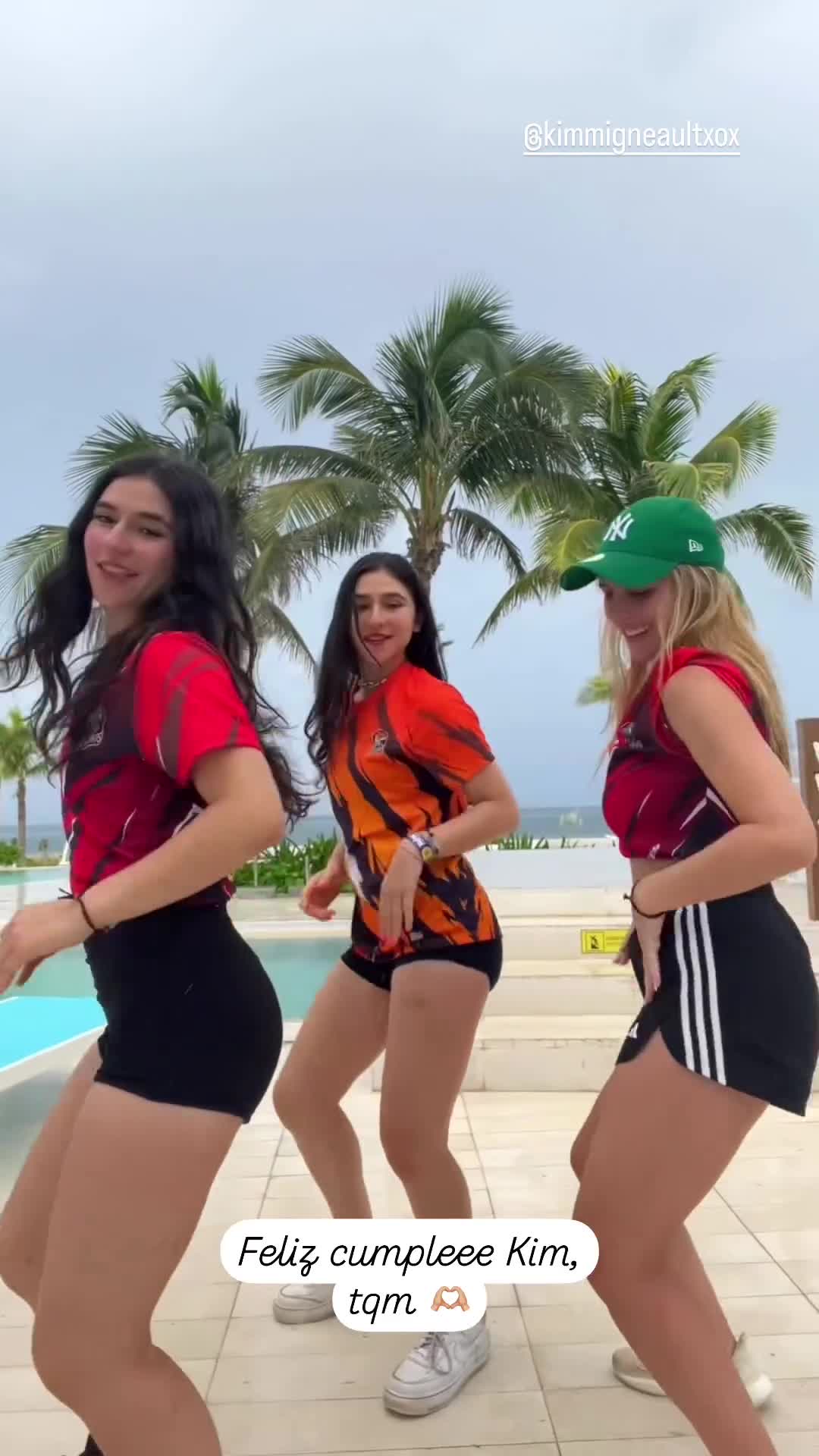Video 134115 from Arayfer (@arayfer_hernandez)