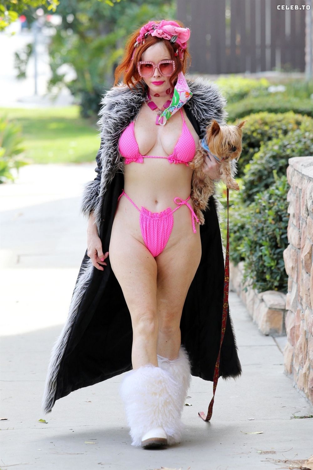 Image 5820246 from Phoebe Price