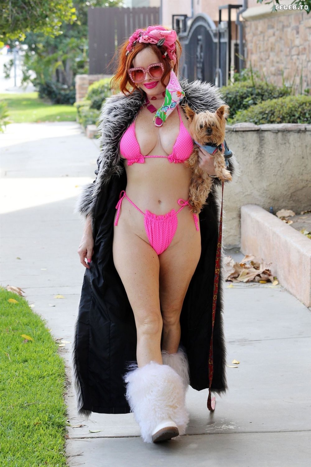 Image 5820355 from Phoebe Price