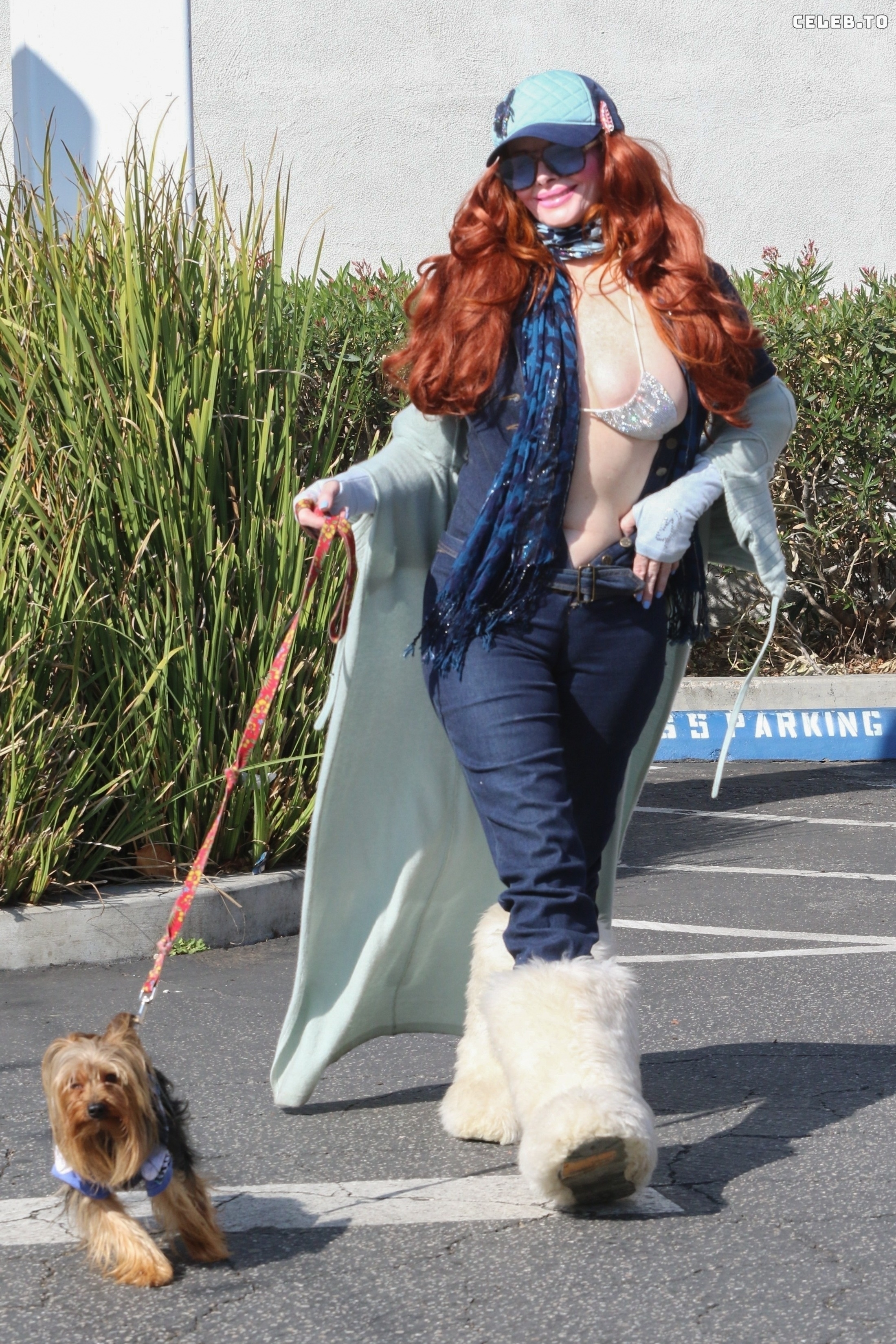 Image 5820852 from Phoebe Price