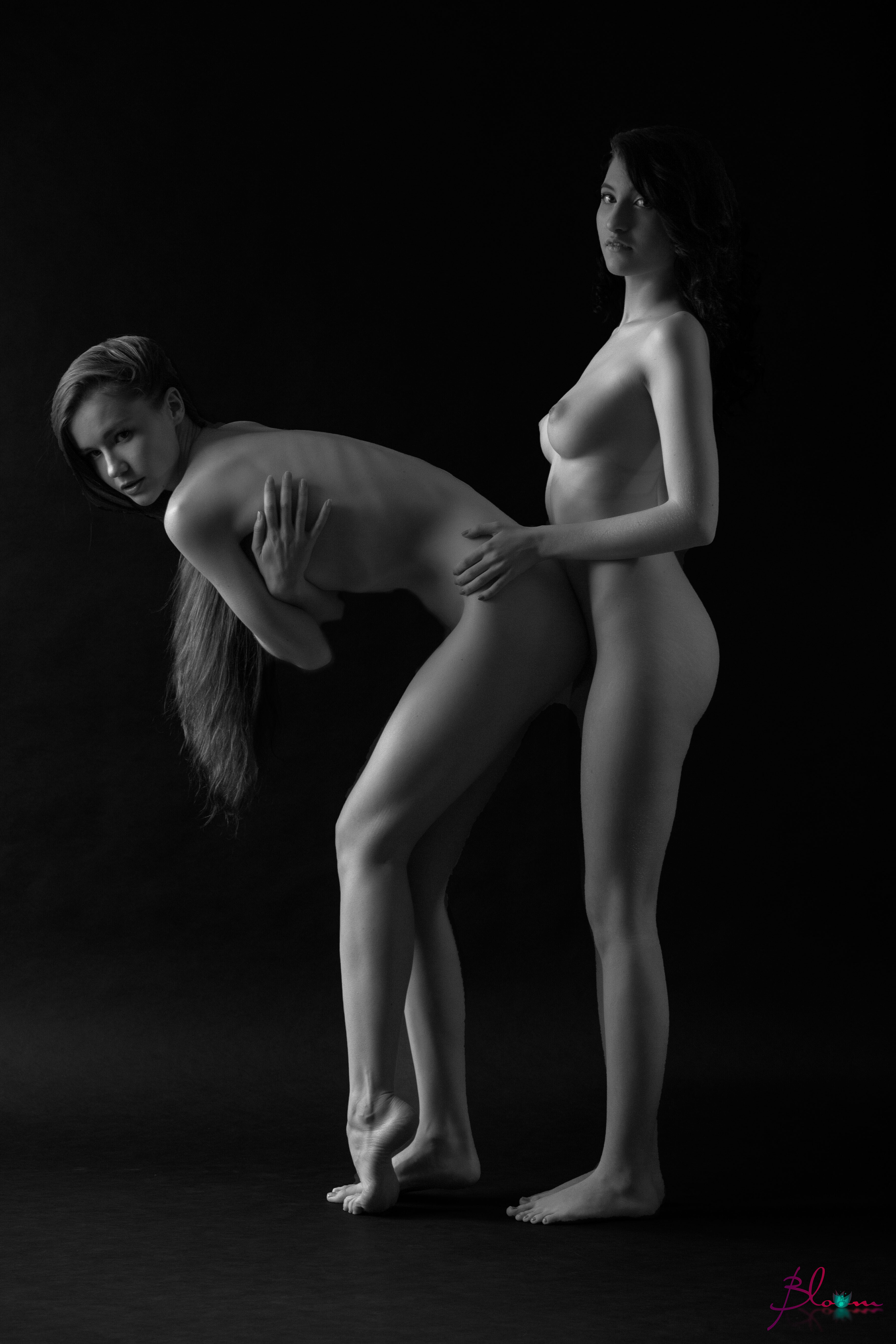 Image 6226951 from Elizabeth Reed
