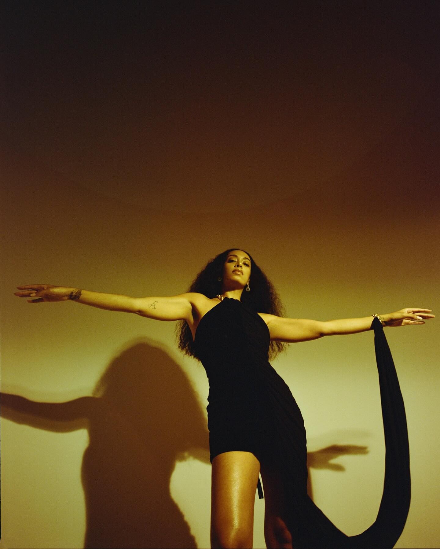 Image 6251136 from Solange Knowles