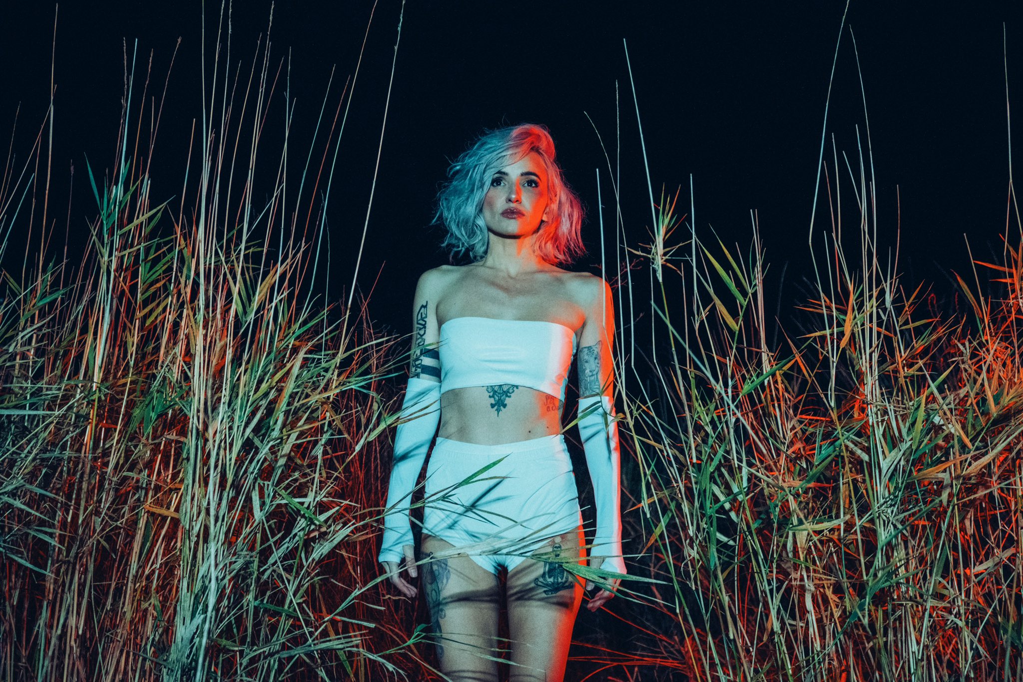 Image 6390504 from Lights Poxleitner