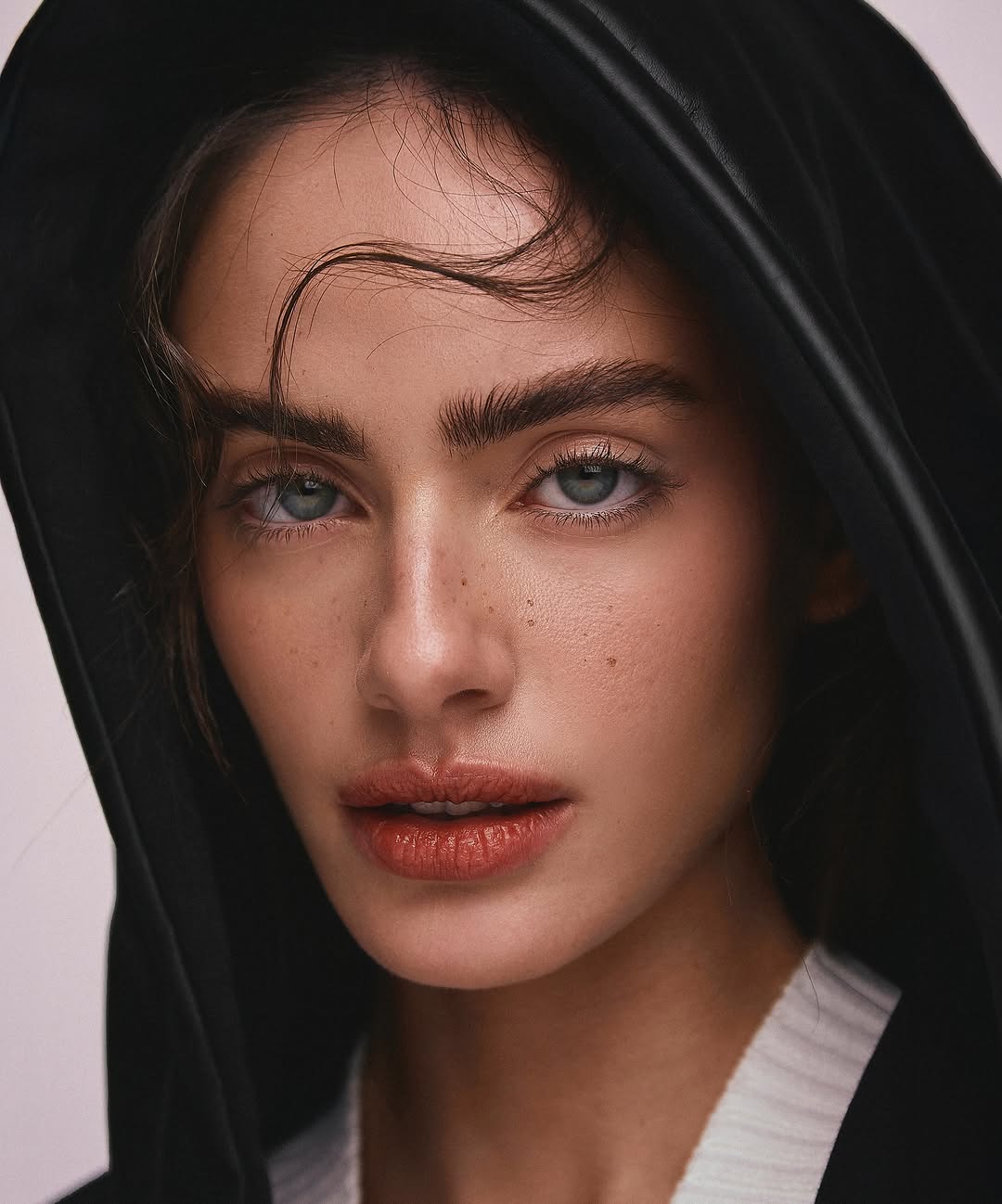 Image 6507573 from Yael Shelbia