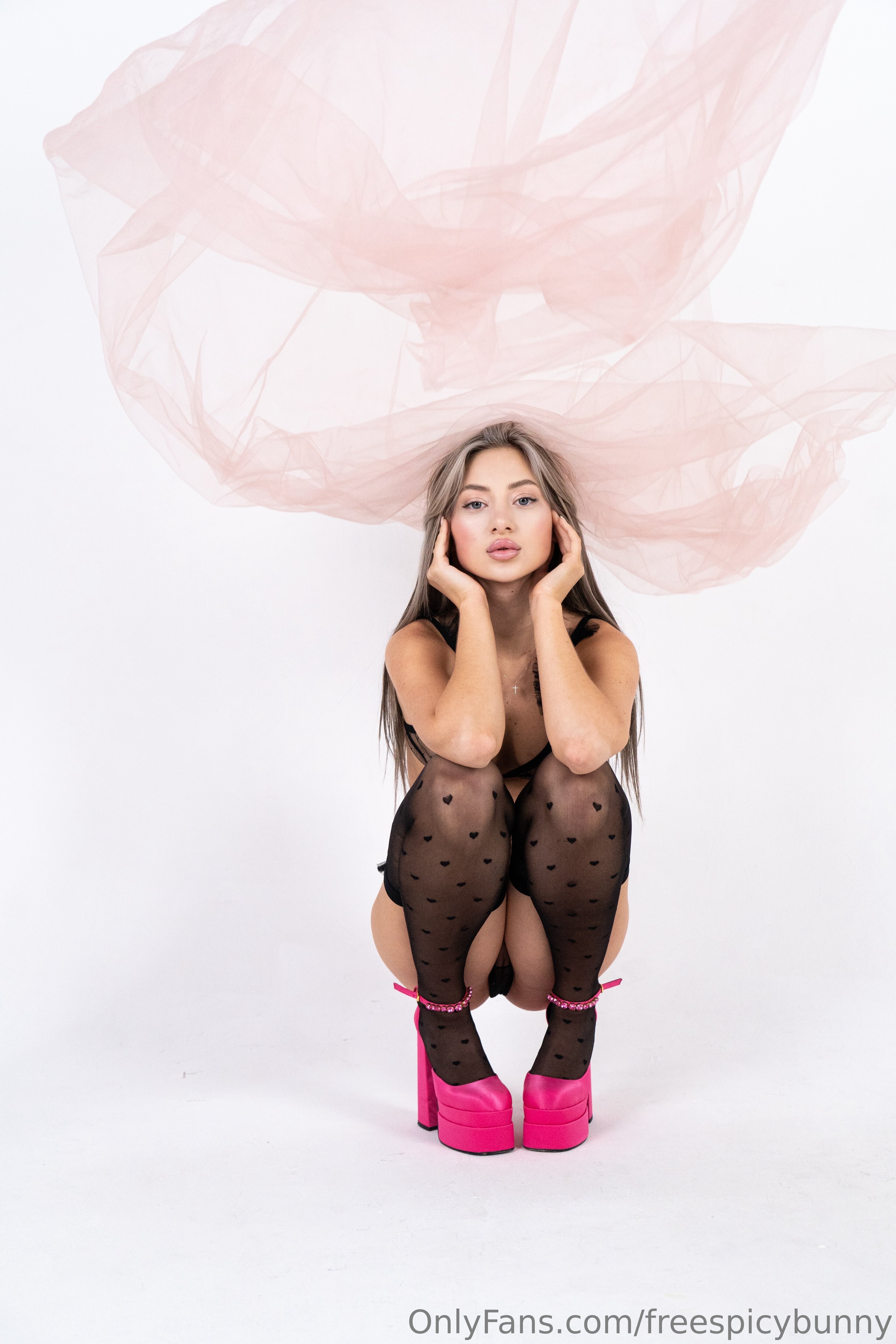 Image 6519002 from Angela Fiery / angelavipbunny