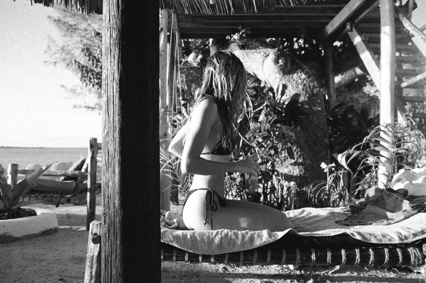 Image 6575375 from Freya Spiers