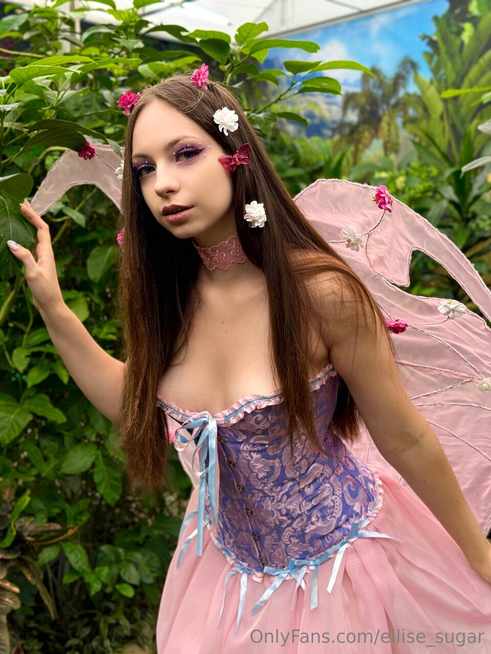 Image 6680179 from ellise_sugar