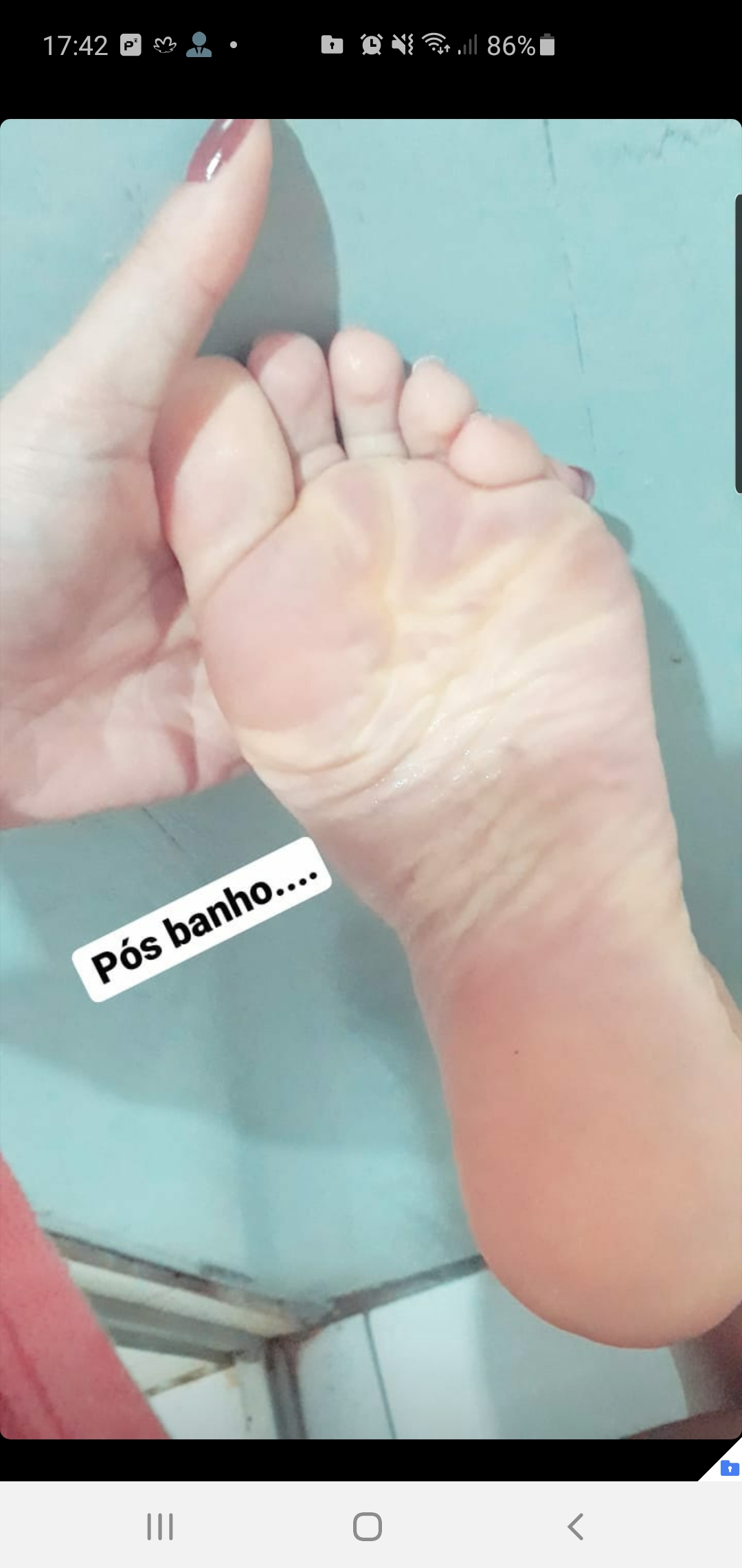 Image 6756621 from Patrícia Cristina - Pesdacris