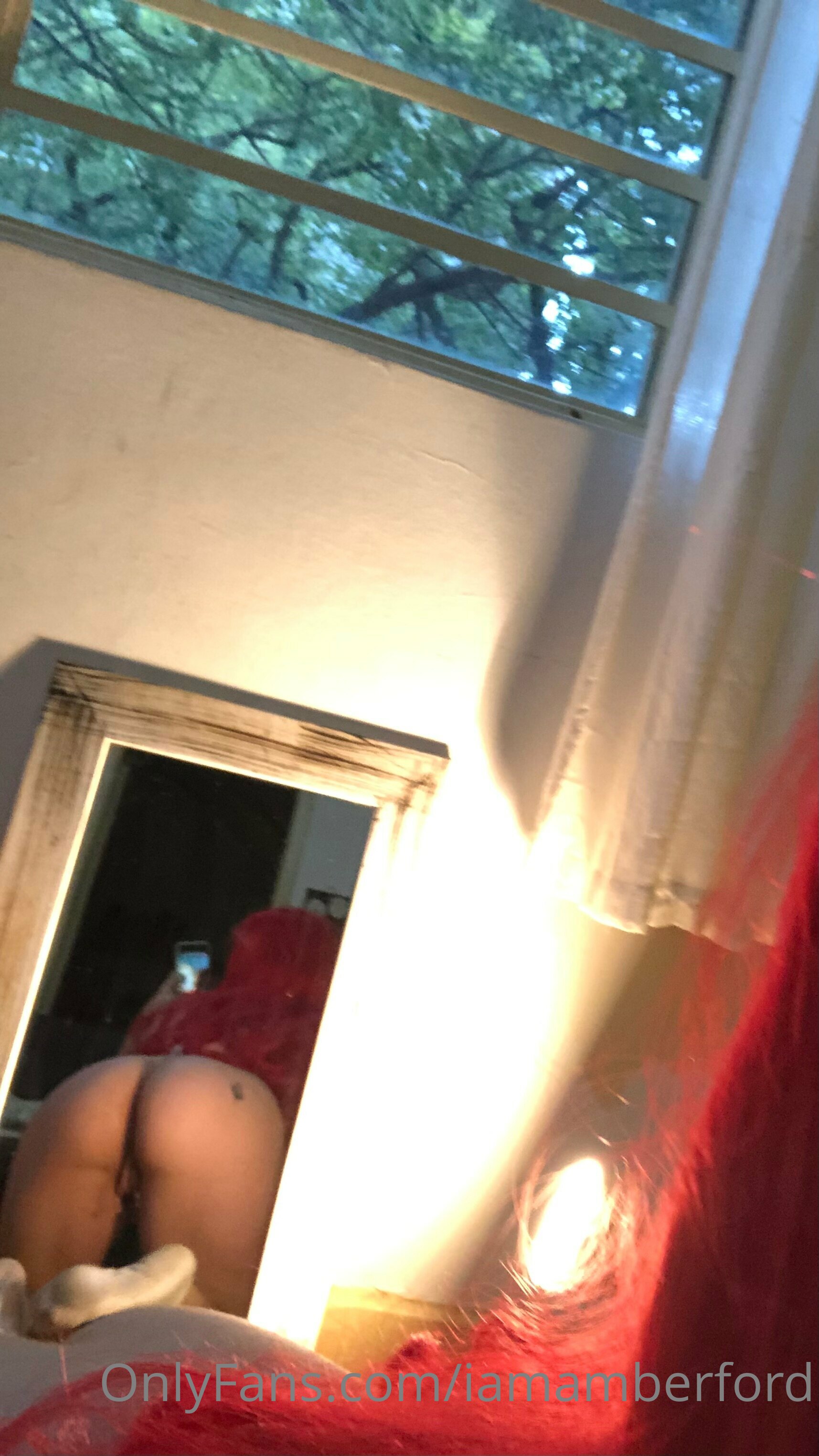 Image 6764091 from Amber Ford