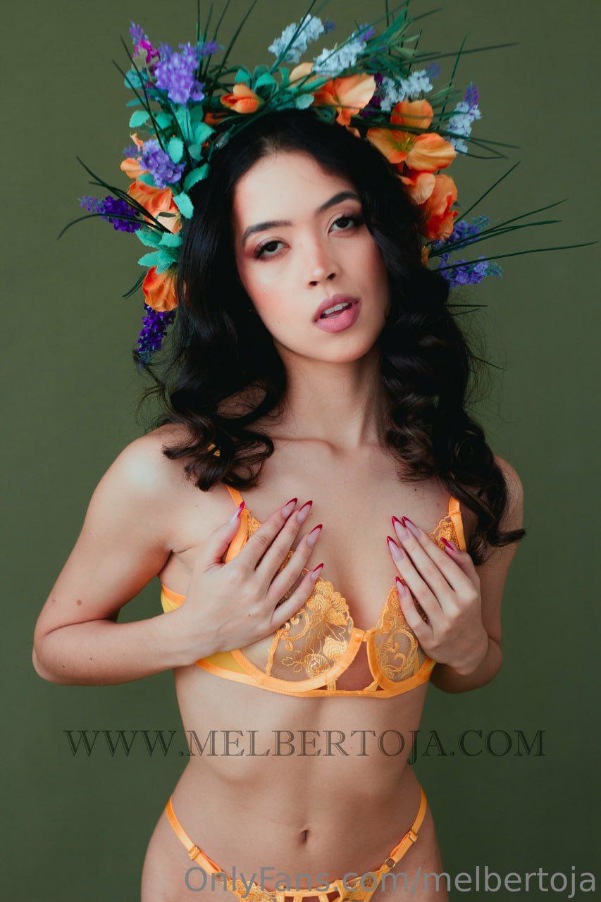 Image 6765023 from Mel Bertoja
