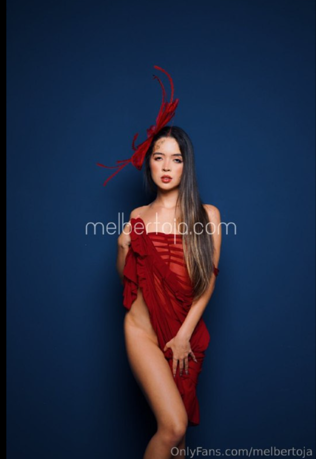 Image 6768050 from Mel Bertoja