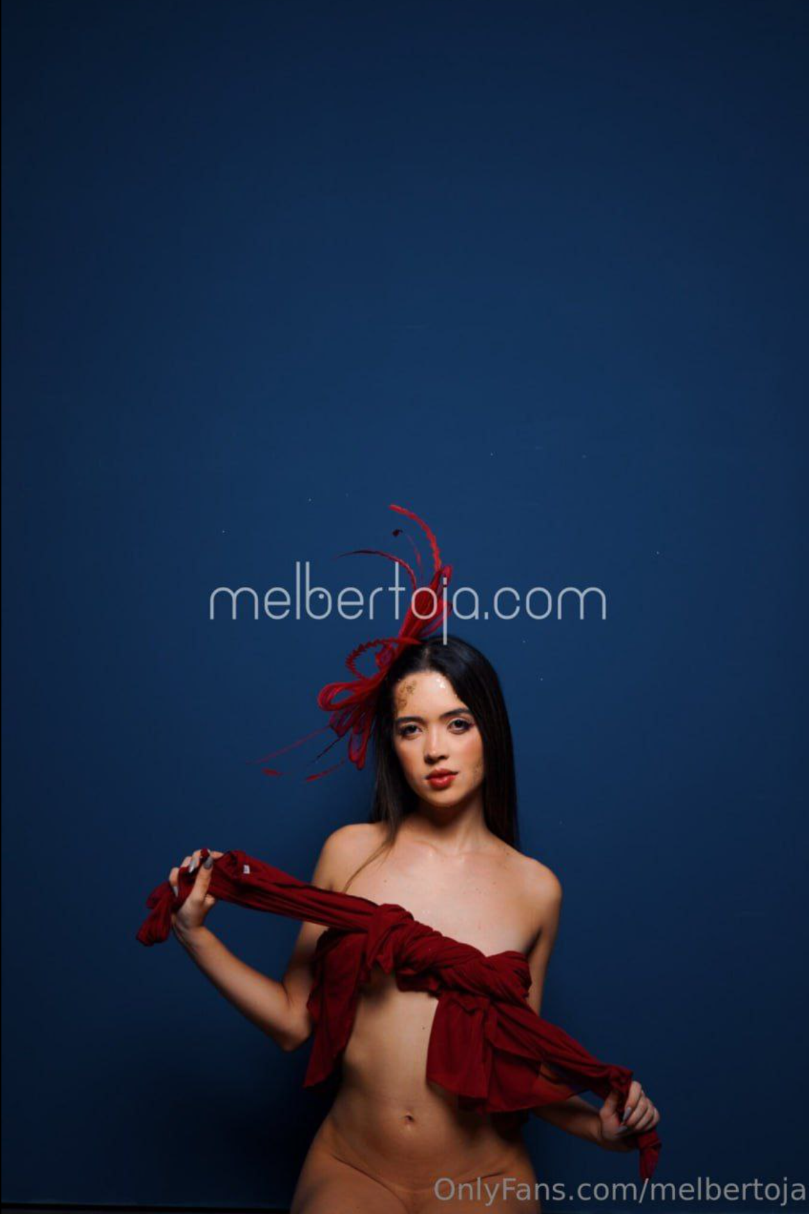 Image 6768247 from Mel Bertoja