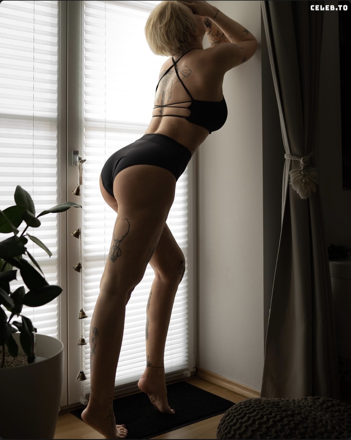 Image 676843 from Mandy-Kay Bart