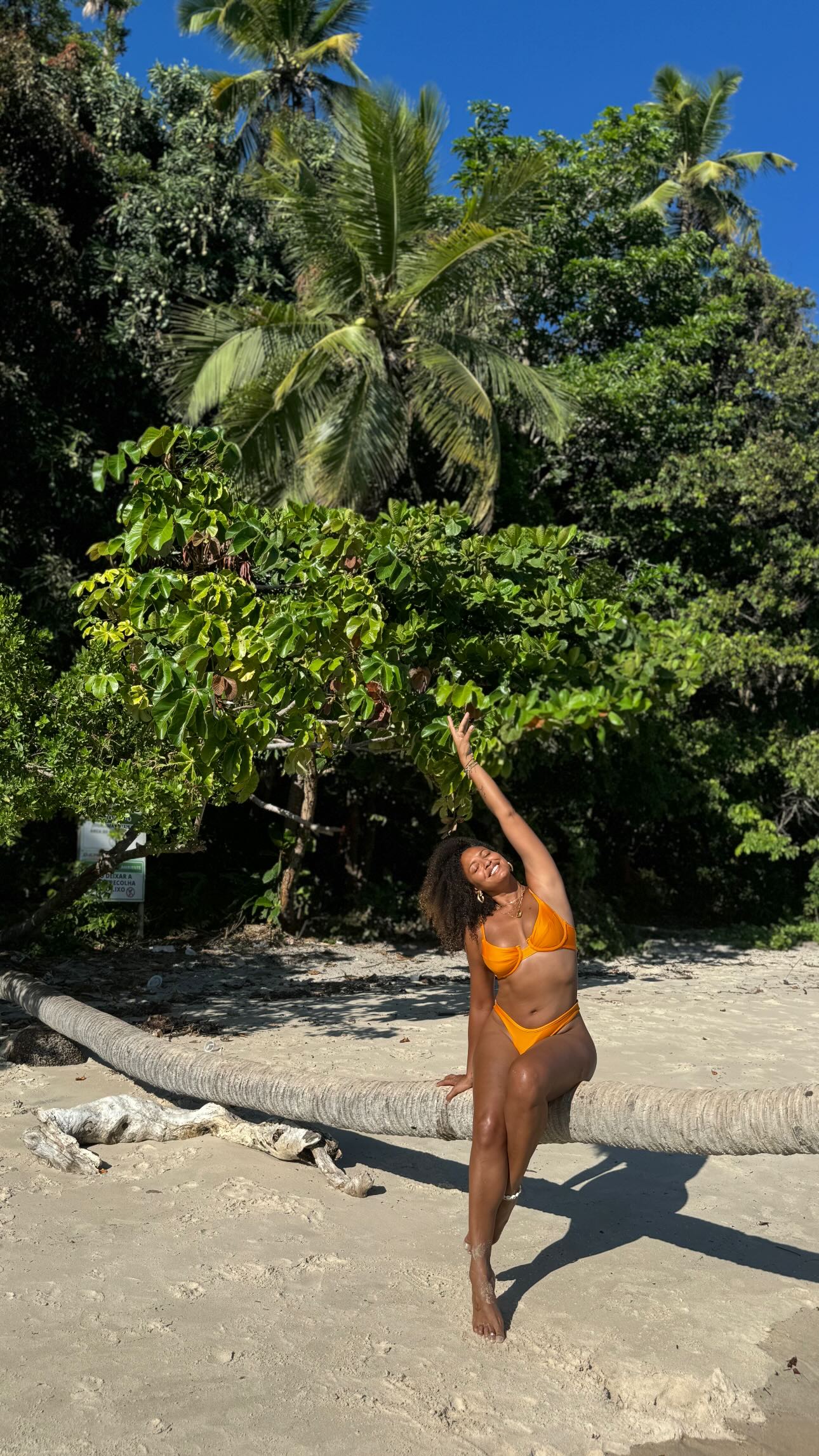 Image 6778379 from Sheron Menezes