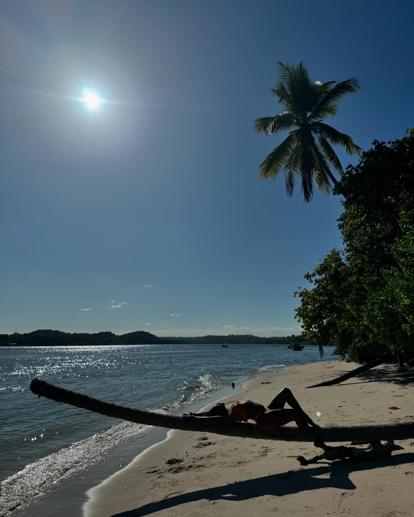 Image 6778727 from Sheron Menezes