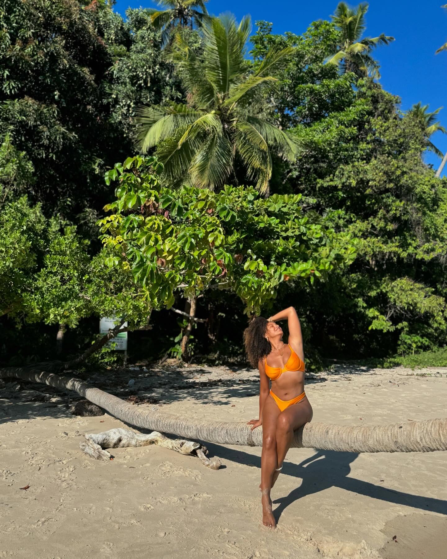 Image 6778864 from Sheron Menezes