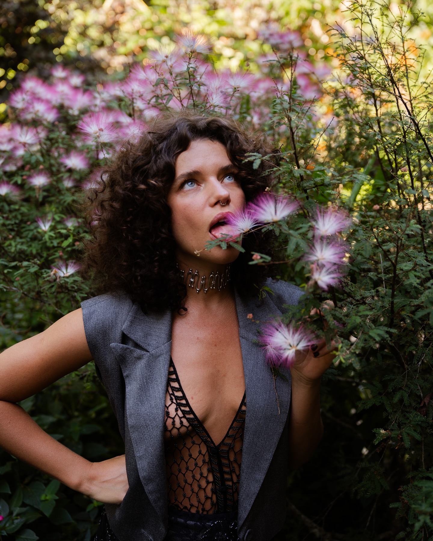 Image 6785520 from Bruna Linzmeyer