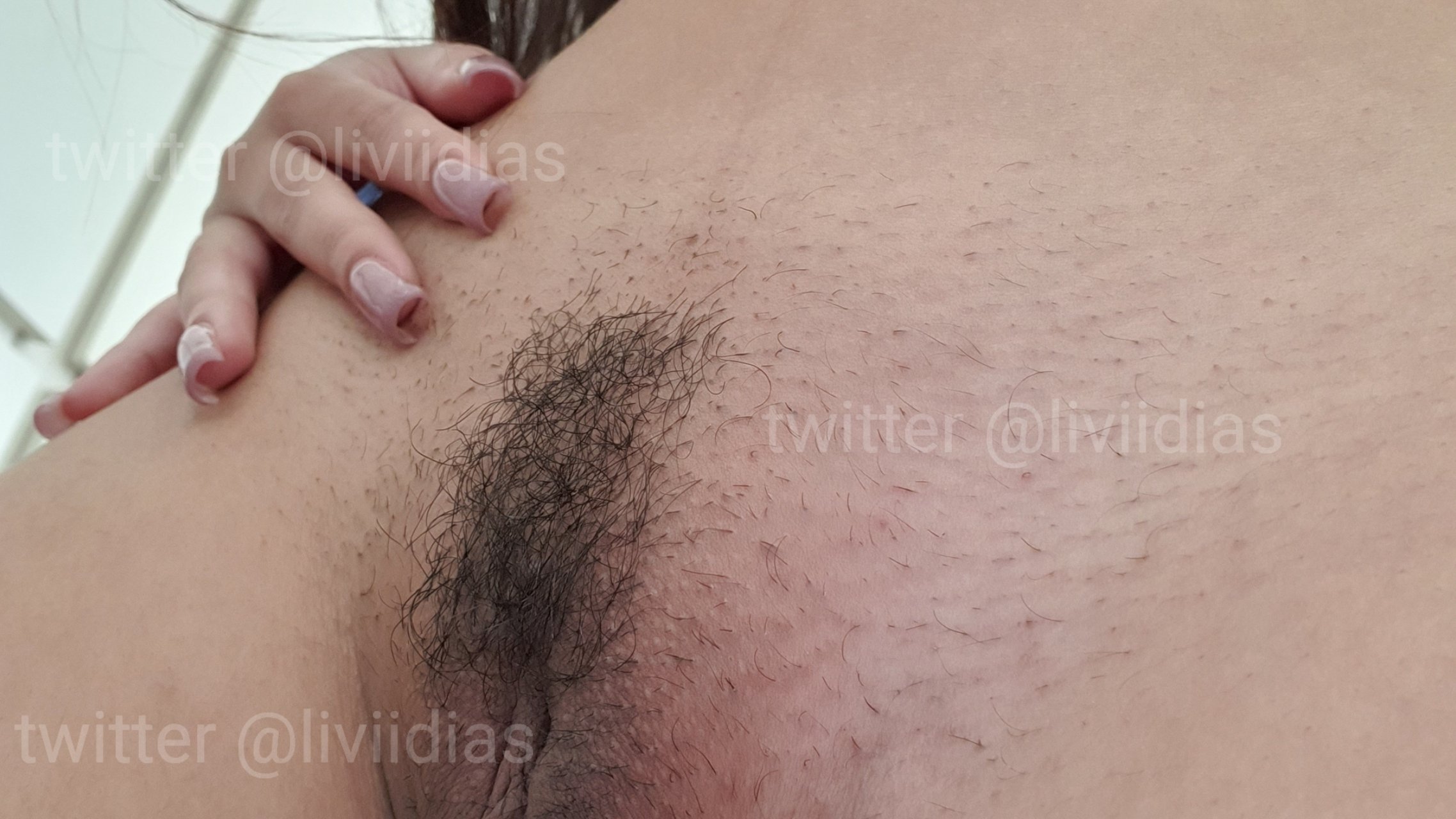 Image 6807762 from Lívia Dias