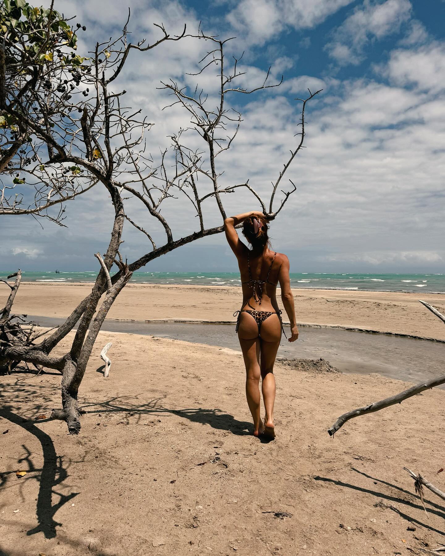 Image 6816957 from Giovanna Ewbank